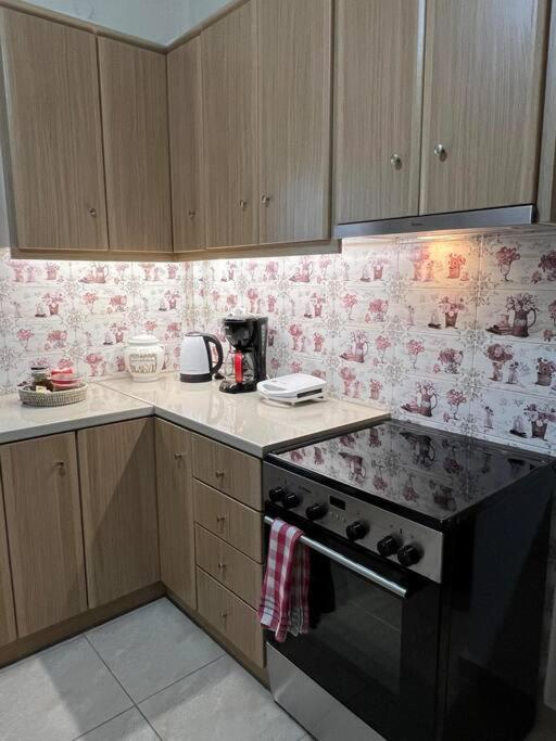 Argoapartment โวโลส ภายนอก รูปภาพ